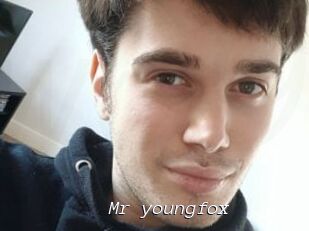 Mr_youngfox