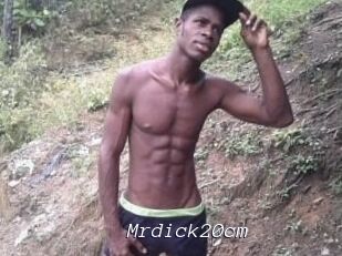 Mrdick20cm