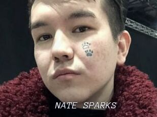 NATE_SPARKS