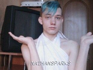 NATHAN_SPARKS