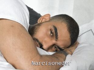 Narcisonefer