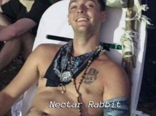 Nectar_Rabbit