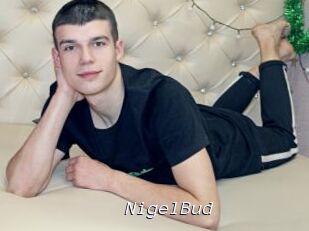 NigelBud