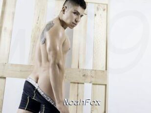NoahFox
