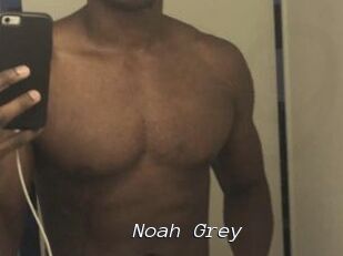 Noah_Grey