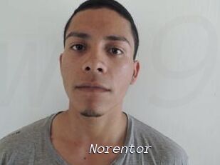 Noren_tor