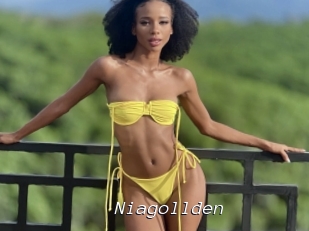 Niagollden
