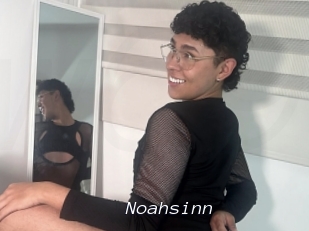 Noahsinn