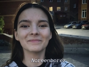 Noreenborer
