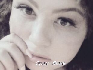 Opay_Skye