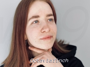 Octaviafinch