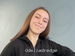 Odeliadredge