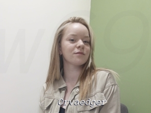 Orvaedger