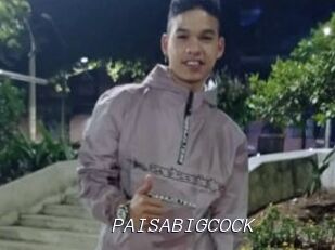PAISABIGCOCK