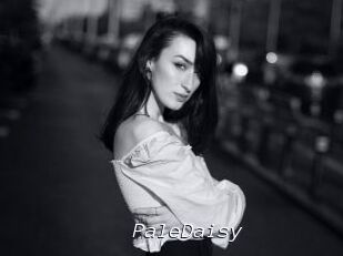 PaleDaisy