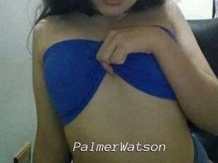 PalmerWatson