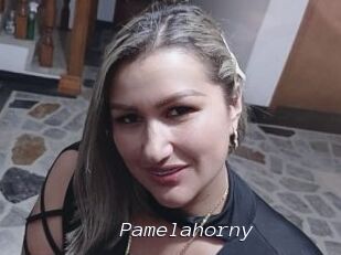 Pamelahorny