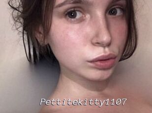 Pettitekitty1107