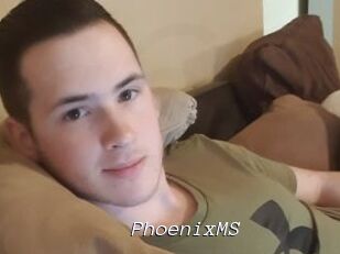 PhoenixMS