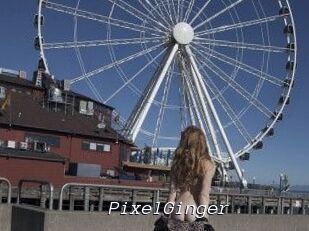 PixelGinger