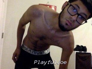PlayfulJoe