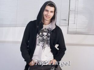 PlayfulNigel