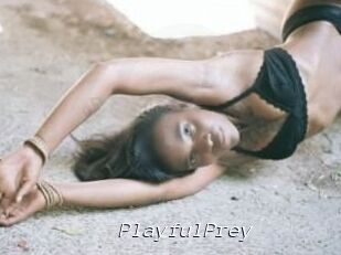 PlayfulPrey