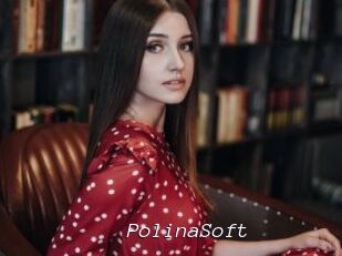 PolinaSoft
