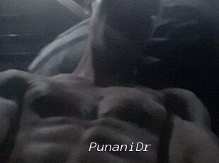 PunaniDr