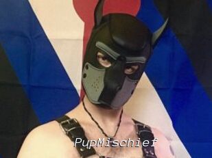 PupMischief