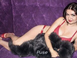 Puse