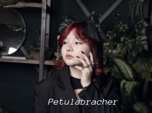 Petulabracher