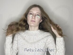 Petulabulmer