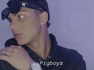 Pigboyx