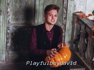 Playfulboydavid