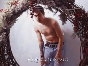 Playfultorvin