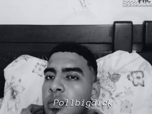 Pollbigdick