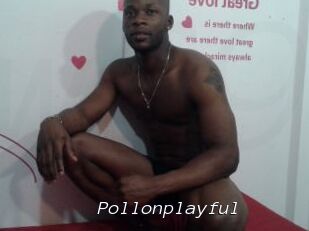 Pollonplayful