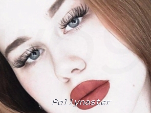 Pollynaster