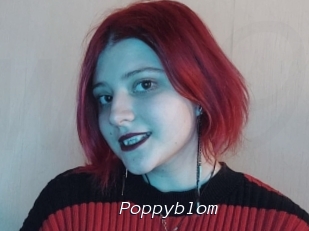 Poppyblom