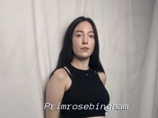 Primrosebingham