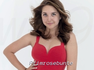 Primrosebunte
