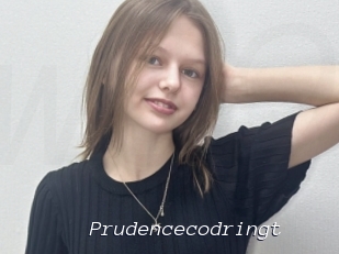 Prudencecodringt