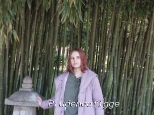Prudencefigge