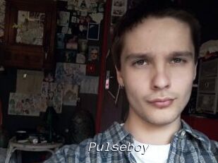 Pulseboy