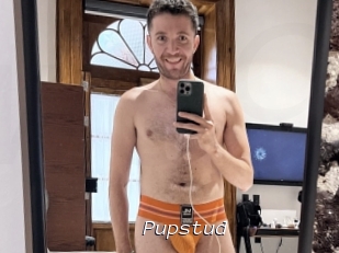 Pupstud