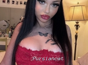Pursiancat