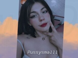 Pussysmalll
