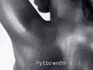 Pytbrwn69