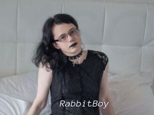 RabbitBoy